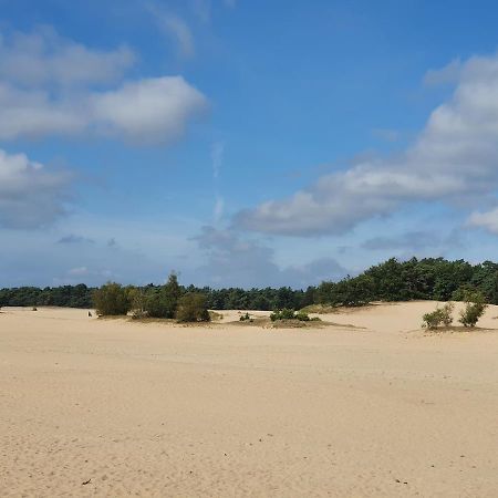 Chalet 11, In Het Bos Doornspijk Екстериор снимка