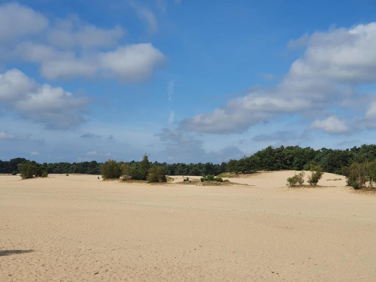 Chalet 11, In Het Bos Doornspijk Екстериор снимка
